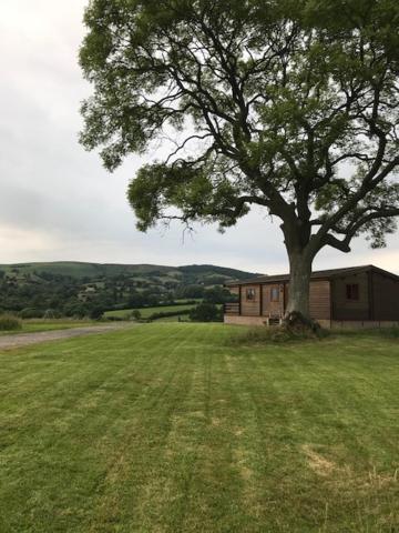 Redwood Lodge Ludlow Kültér fotó