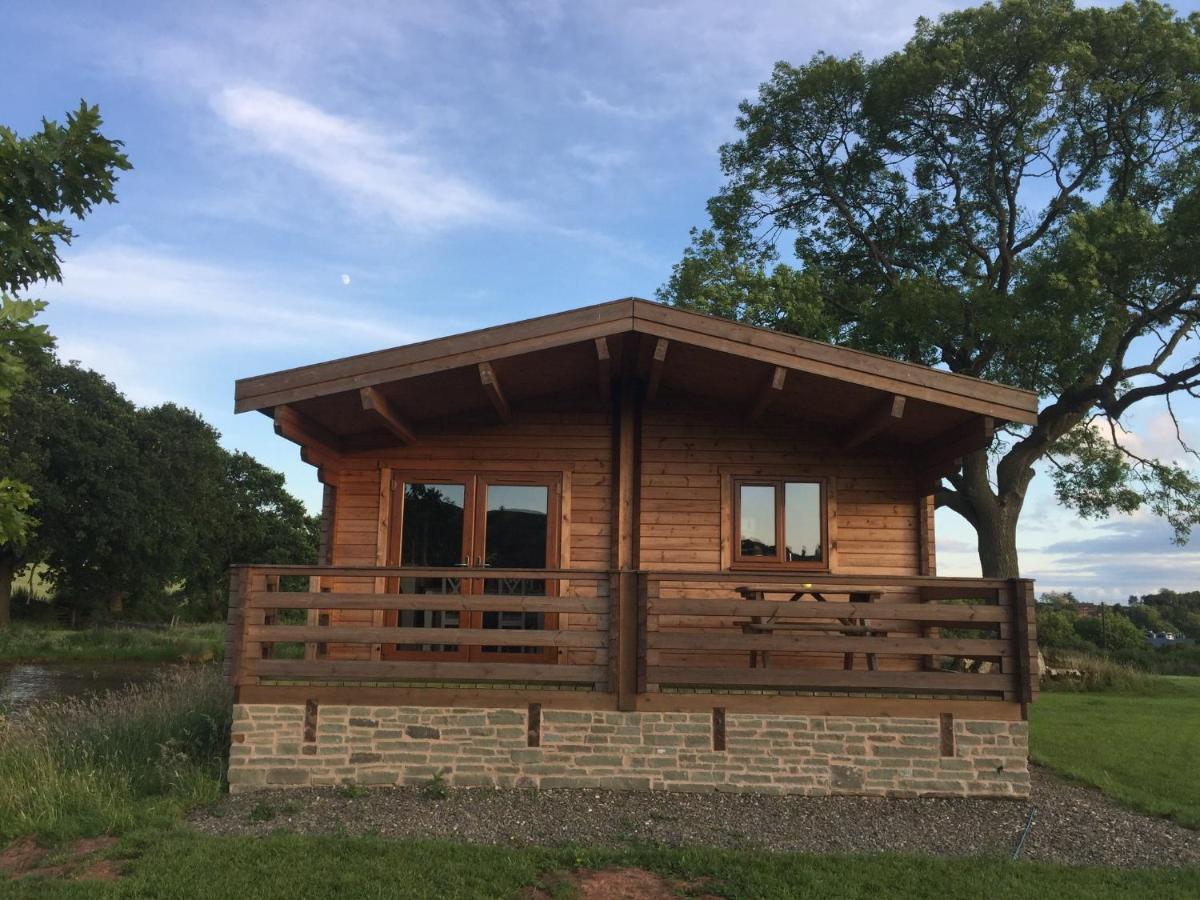 Redwood Lodge Ludlow Kültér fotó
