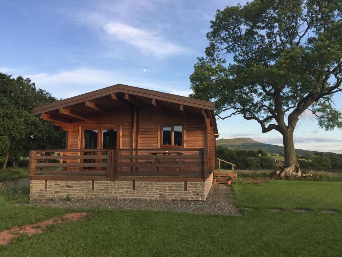 Redwood Lodge Ludlow Kültér fotó