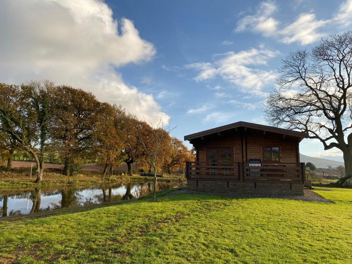 Redwood Lodge Ludlow Kültér fotó